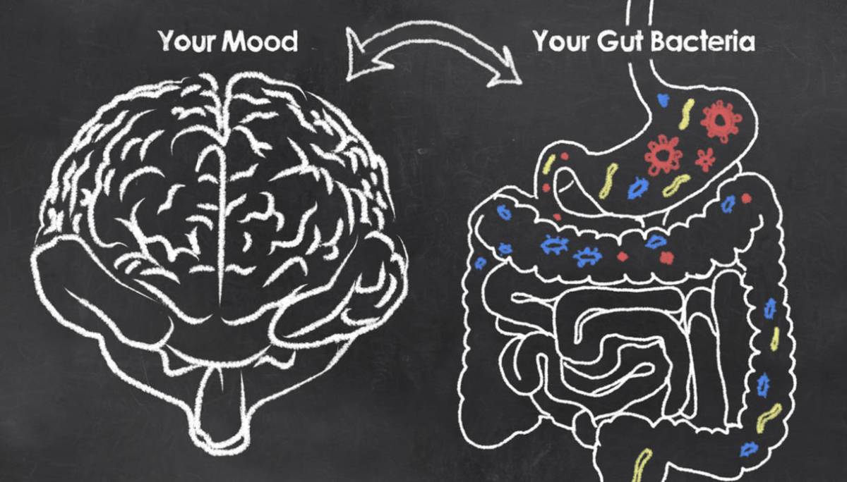 L’asse intestino-cervello e le basi della salute