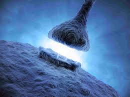 Alla scoperta del Tong Ren: scienza al servizio della salute