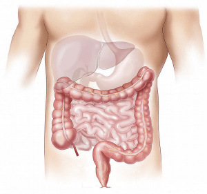 Come pulire il colon