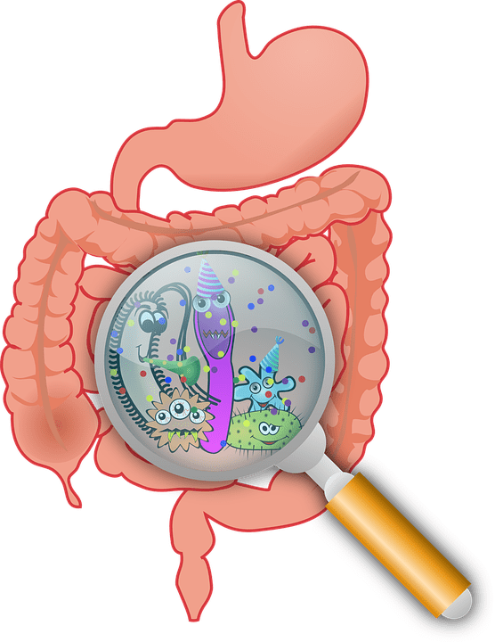 La sindrome dell’intestino irritabile: un approccio integrato