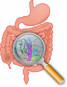 Salute intestinale