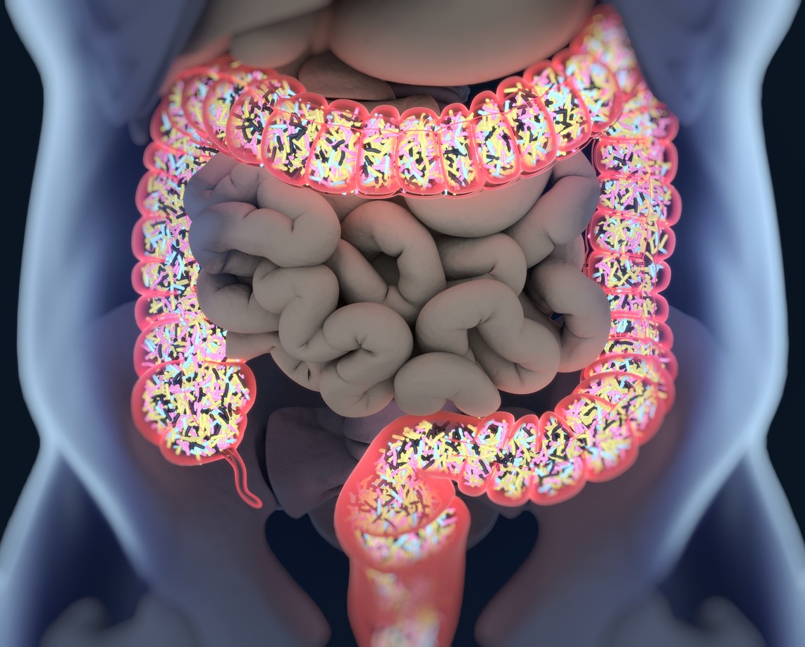 Il check up dell’intestino mediante il test “Profilo intestinale”