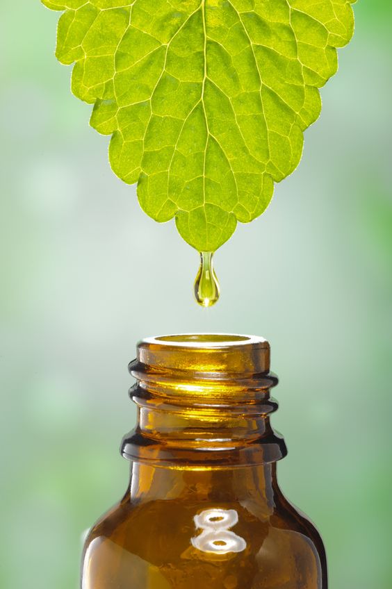 cura fitoterapica