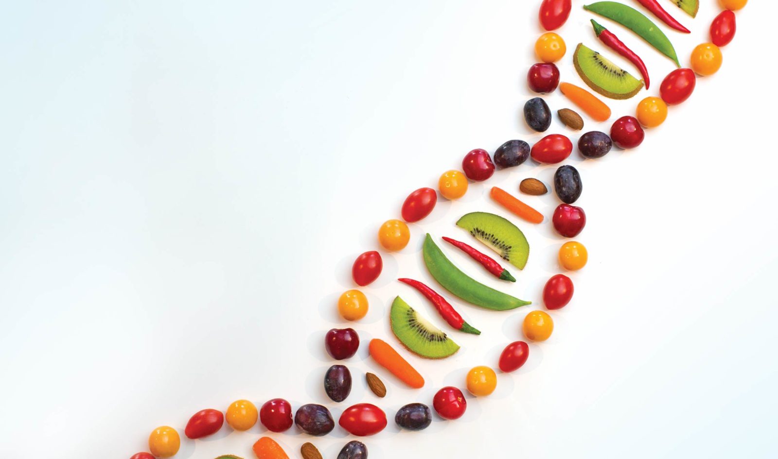 Dieta del DNA