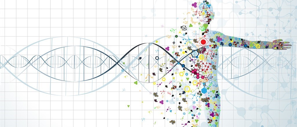 Dieta e DNA