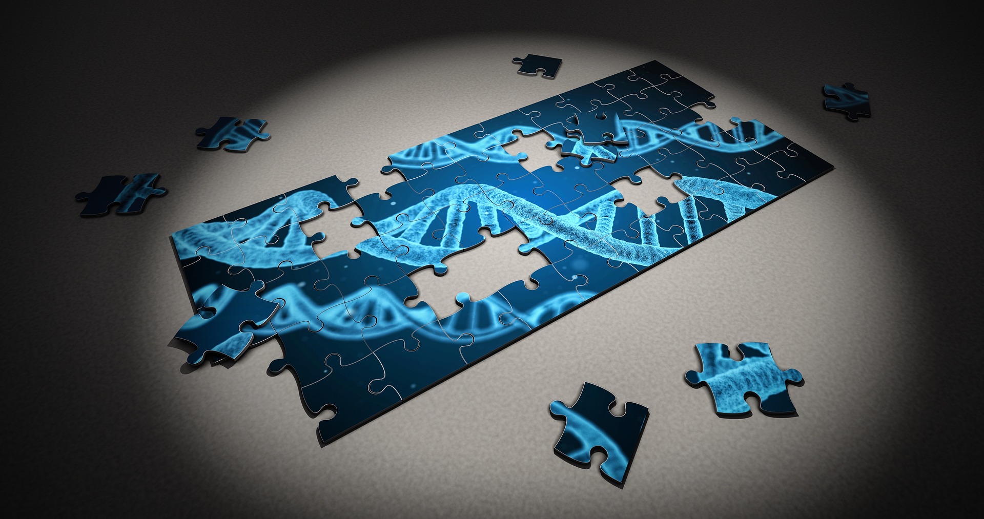 Estrogeni e analisi del DNA