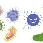 fermentazione intestinale cause sintomi e cura