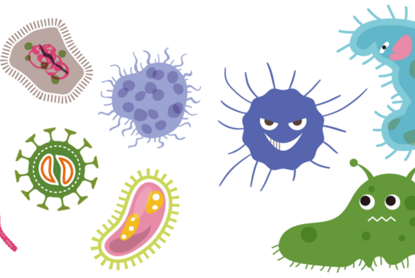 fermentazione intestinale cause sintomi e cura