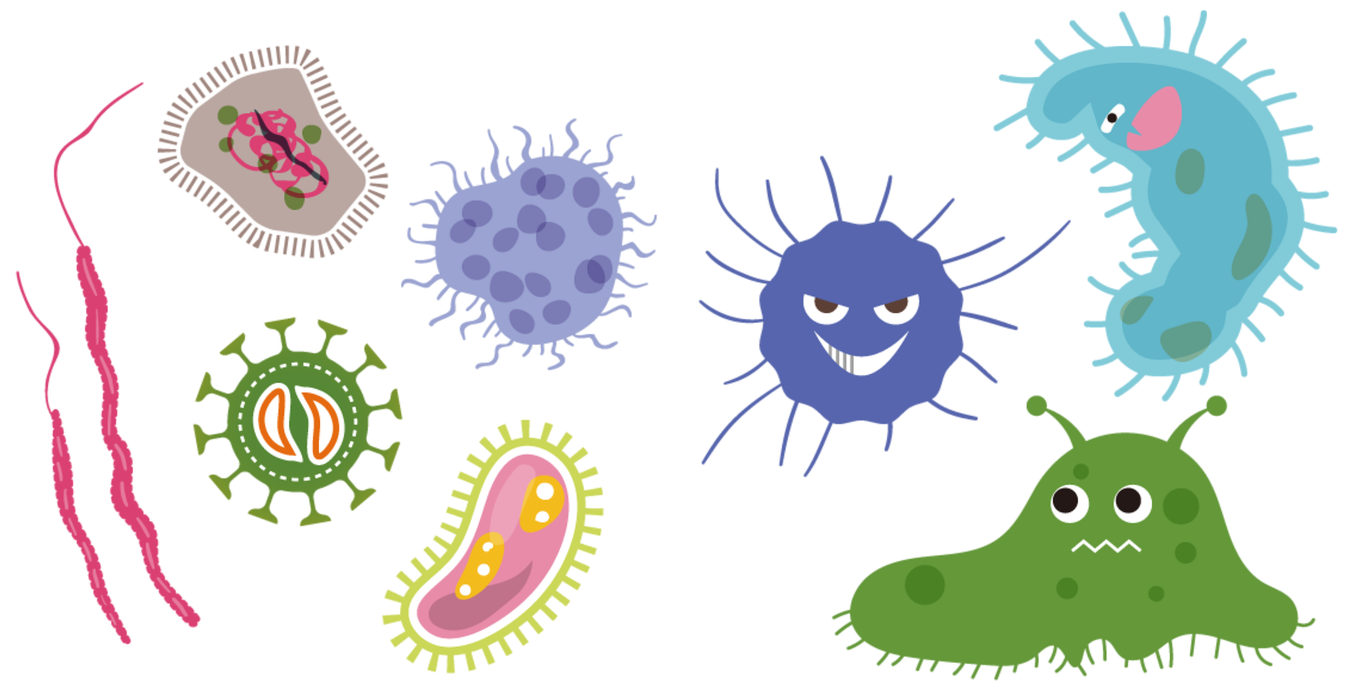 Fermentazione intestinale: cause, sintomi e cura