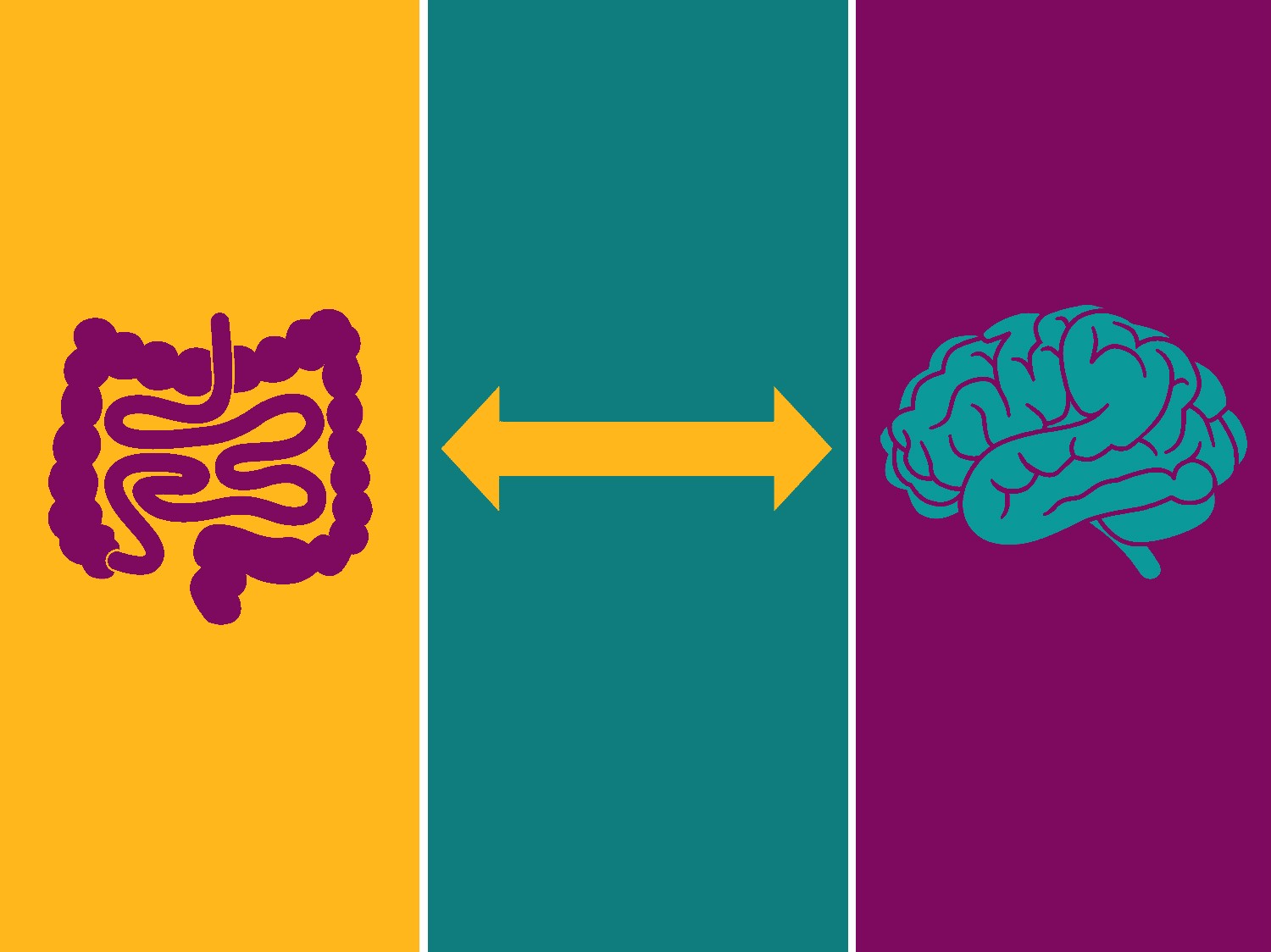 L’intestino: alla scoperta del nostro secondo cervello