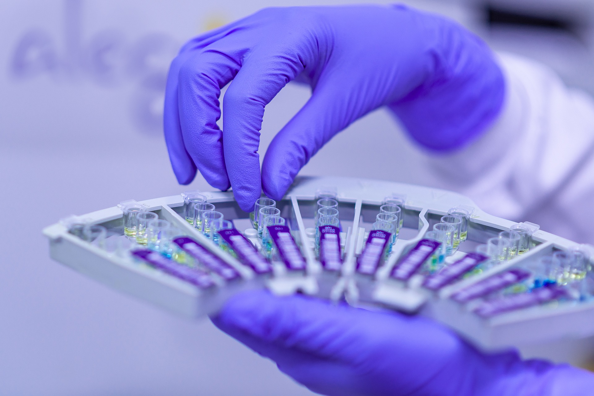 La nuova frontiera dell’epigenetica nutrizionale