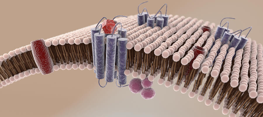 Membrane cellulari, lipidomica e salute