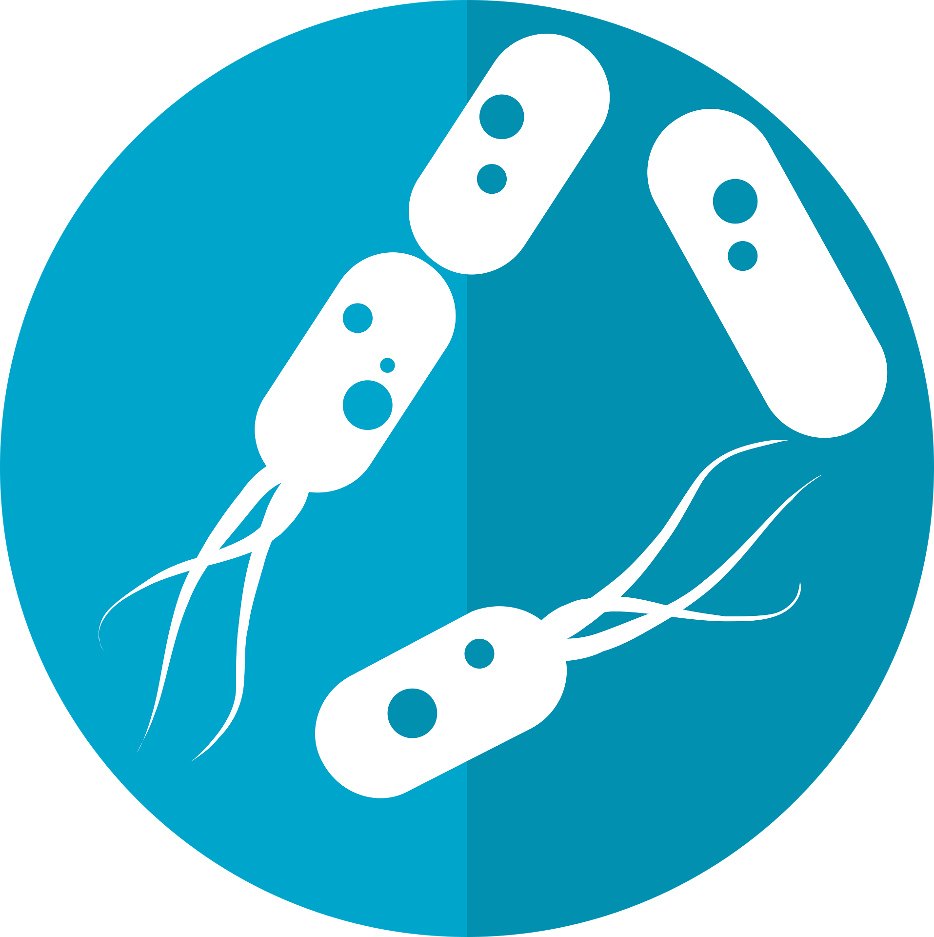 Microbiota e tumore del colon-retto