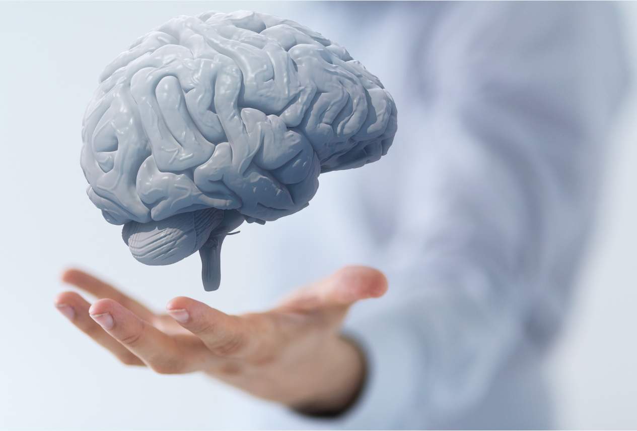 Ozono, cervello e vasi sanguigni: quali benefici?