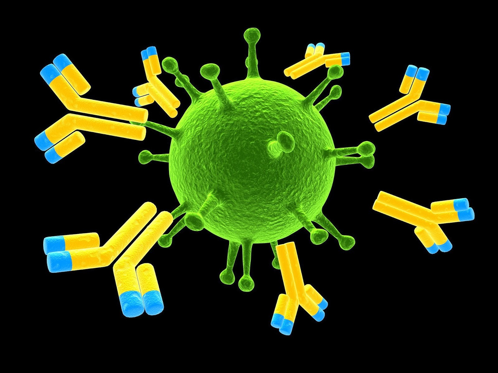 Prevenzione e protezione del sistema immunitario