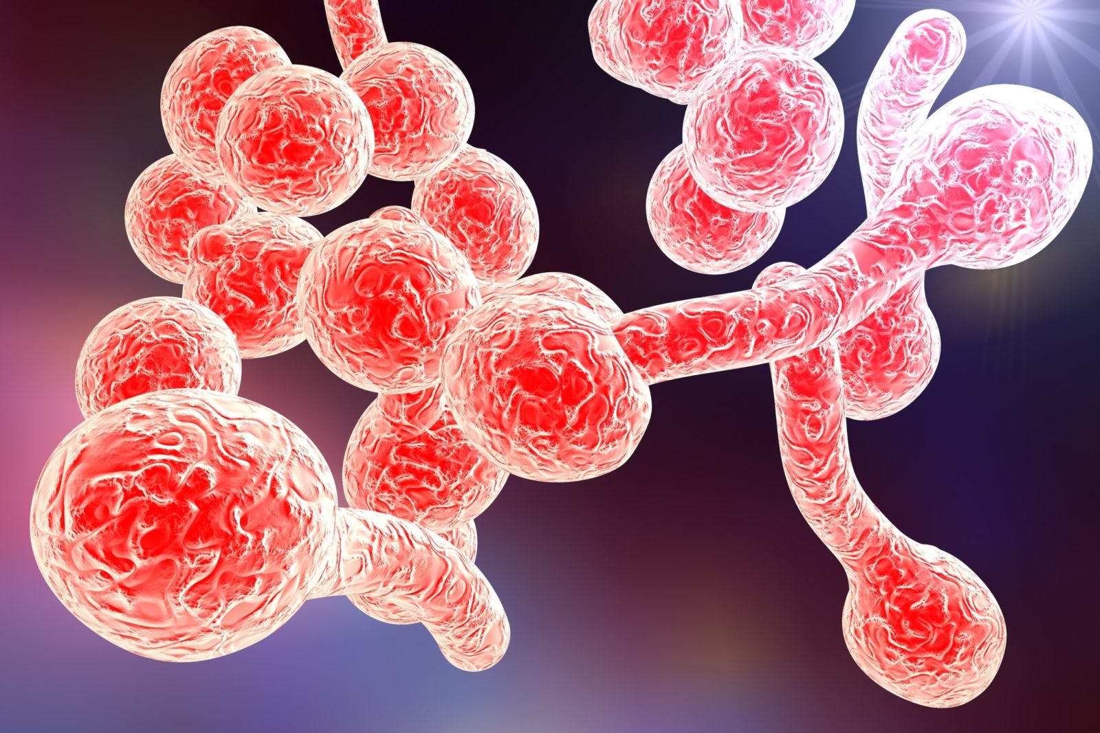 Problemi di Candida? La causa è nell’intestino