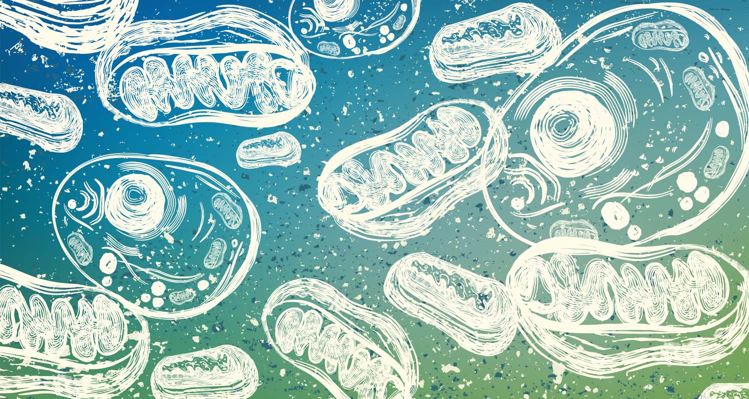 Tossine e mitocondri
